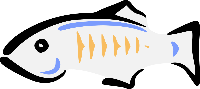 سرور glass fish