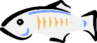 glassfish