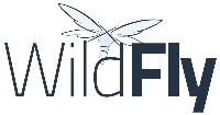 wildfly